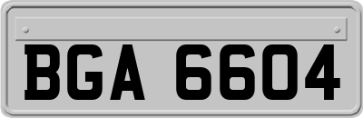 BGA6604