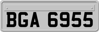 BGA6955