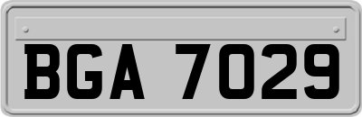 BGA7029