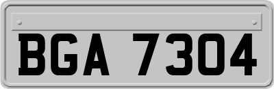 BGA7304