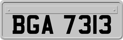 BGA7313