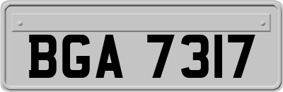 BGA7317