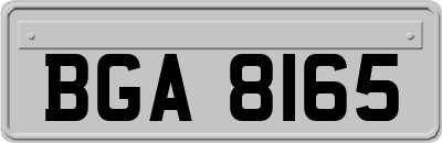 BGA8165