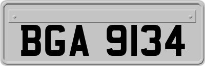 BGA9134