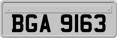 BGA9163