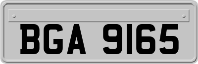 BGA9165