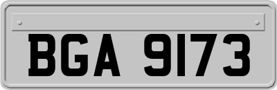 BGA9173