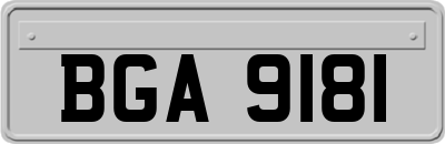 BGA9181