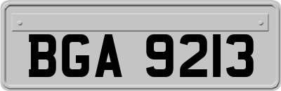 BGA9213