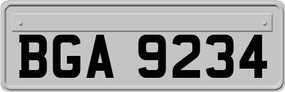 BGA9234