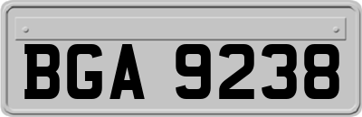 BGA9238
