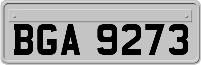 BGA9273