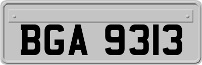 BGA9313