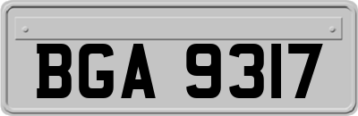 BGA9317