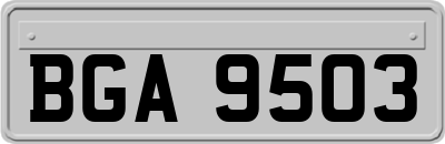 BGA9503