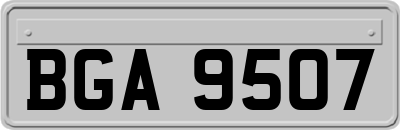 BGA9507