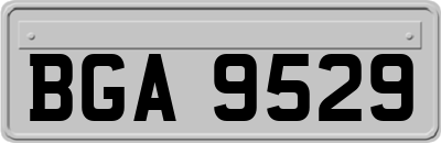 BGA9529