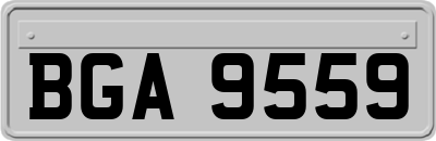 BGA9559