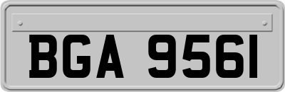 BGA9561