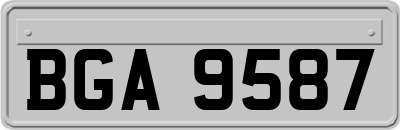 BGA9587