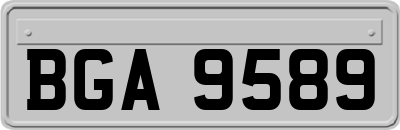 BGA9589
