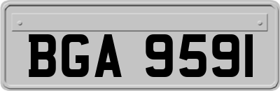 BGA9591