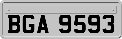 BGA9593
