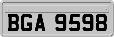 BGA9598