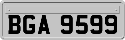 BGA9599