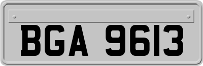 BGA9613