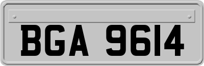 BGA9614