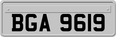 BGA9619