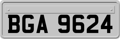 BGA9624
