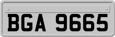 BGA9665