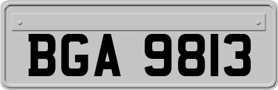 BGA9813
