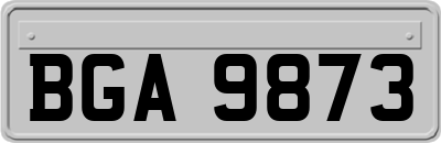 BGA9873