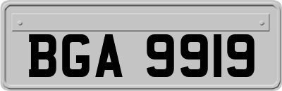 BGA9919