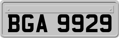 BGA9929