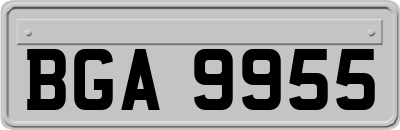BGA9955