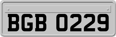 BGB0229