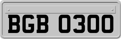 BGB0300