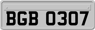 BGB0307