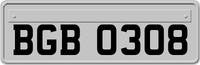 BGB0308