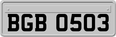 BGB0503