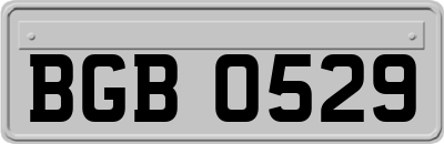 BGB0529