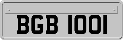 BGB1001