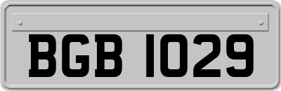 BGB1029