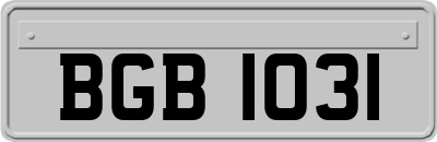 BGB1031