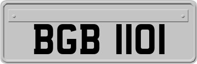 BGB1101
