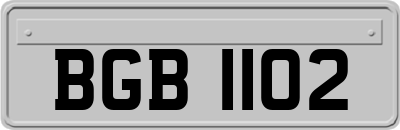 BGB1102
